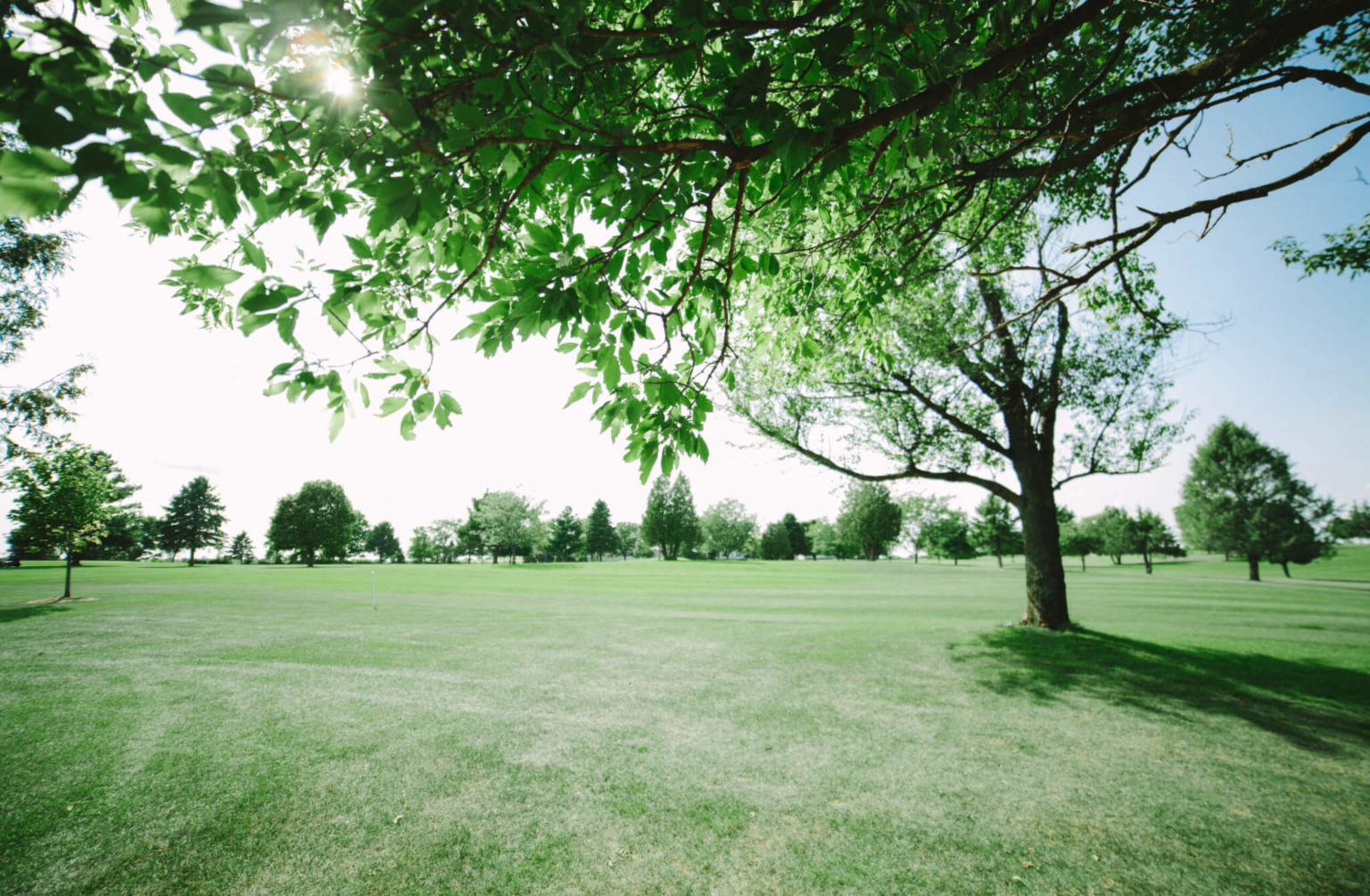 Cecelia's Golf Course 9hole par36 golf course Janesville, WI