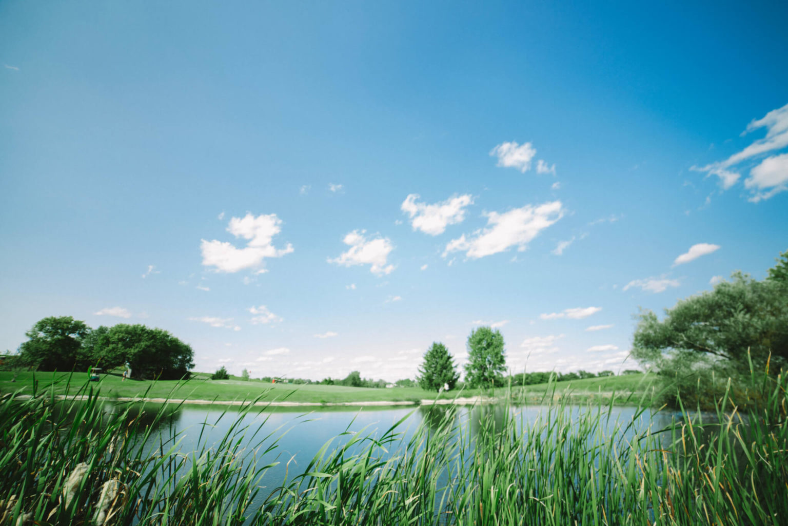 Cecelia's Golf Course 9hole par36 golf course Janesville, WI